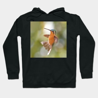 Hummingbird Acrobatics Hoodie